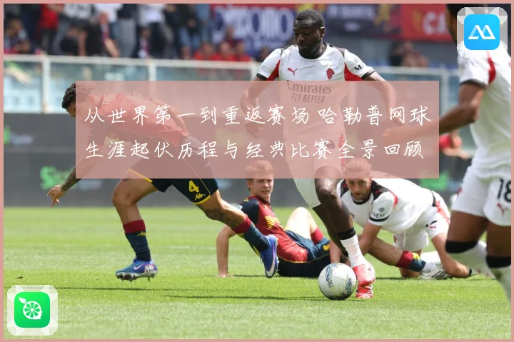 从世界第一到重返赛场 哈勒普网球生涯起伏历程与经典比赛全景回顾