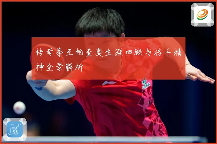 传奇拳王帕奎奥生涯回顾与格斗精神全景解析